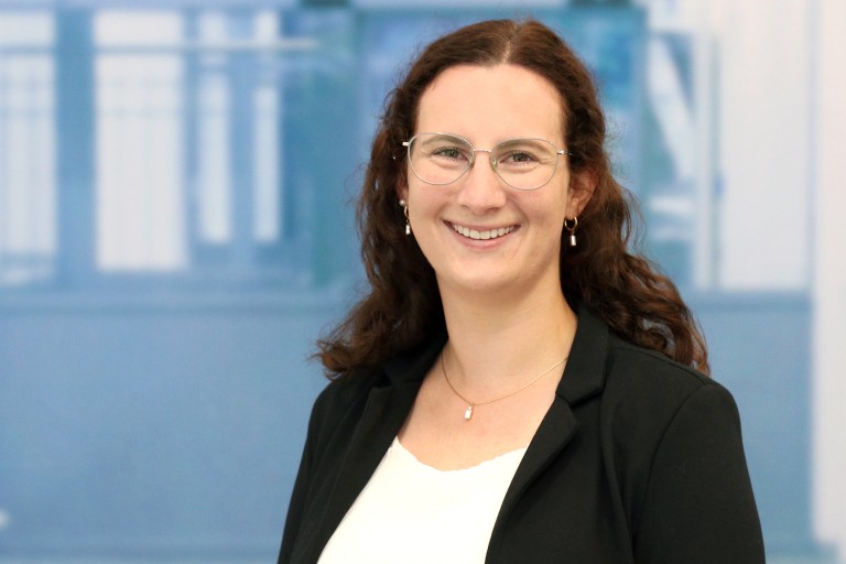 Bachelor Professional in IT